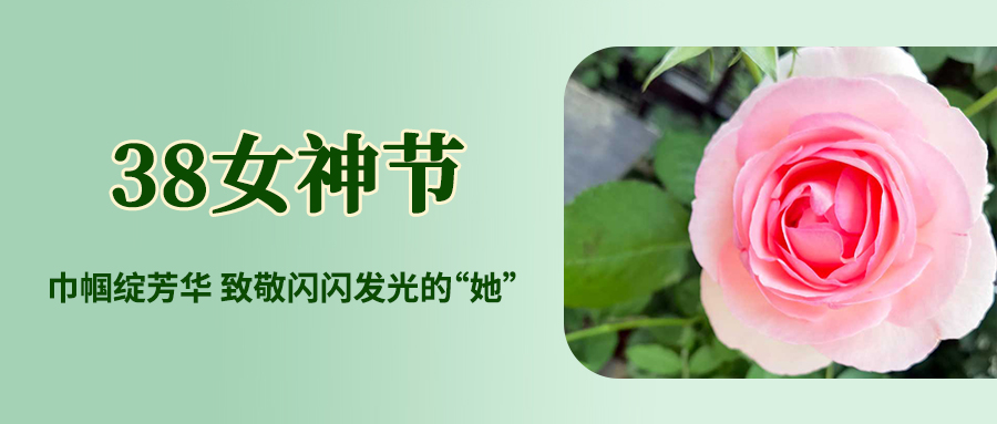 元宵节公众号封面.jpg